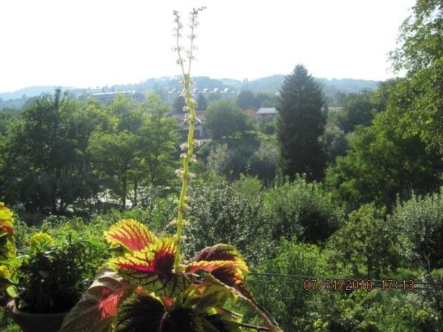 017-Pogled s terase